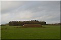 Newcastle-under-Lyme: covered reservoir off Whitmore Road