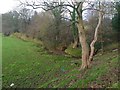 Newcastle-under-Lyme: stream next to Whitmore Road