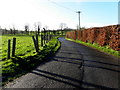 Tannaghlane Road, Lairakean