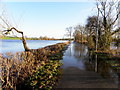 Flooding along a minor road, Tullynashane