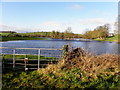 Flooded land, Caledon