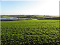 Flooded land at Caledon