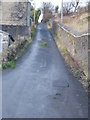 Old Lane - Taylor Lane