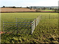 View towards Middle Green Farm