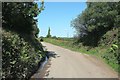 Lane to Lerwell Beech Tree Cross