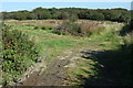 Heathland near Aclands Barton