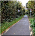 SU9677 : No parking on narrow Meadow Lane, Eton by Jaggery
