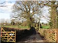 Driveway to Perry Elm