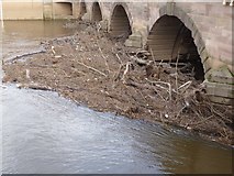 SO8454 : Debris against Worcester Bridge by Philip Halling