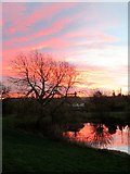 SE8960 : Sunrise  at  Fimber  pond  (3) by Martin Dawes