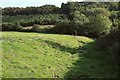 Footpath to the Hawkridge Brook