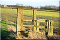 Wooden stile with fence remains