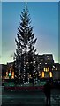 TQ3080 : Trafalgar Square Christmas tree by PAUL FARMER