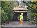 Dump Truck on the Bridleway