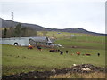 Barns at Home Farm