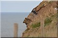 NZ9011 : A rocky overhang near the Church of Saint Mary, Whitby by Oliver Mills
