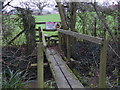 Footbridge towards Bignor Farm