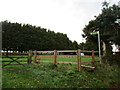 Footpath sign and stile