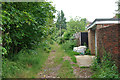 Track at back of houses on Mayfield Place