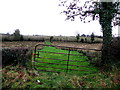 A rushy field, Liscreevin