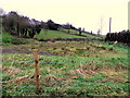 Whitehill South Townland