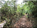 Path alongside Worksop Road