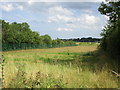 Vacant land, Steetley