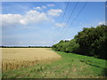 SK5478 : Wheatfield with conservation strip near Steetley by Jonathan Thacker