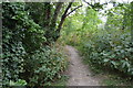 Footpath to the River Ouse