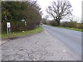 Looking north on Stane Street south of Adversane