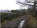 Footpath by Adversane Caravan Park