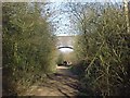 The Great Central Walk through Ashlawn Cutting Nature Reserve