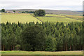 View to East High House Farm from Bale Hill