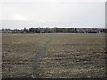 Path across a stubble field