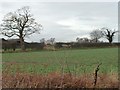 Arable farmland near Thrush House