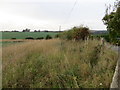 Field edge view from Easter Wooden Triangulation Pillar