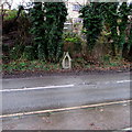 Victorian drinking fountain opposite the Tradeplas Building, Nailsworth