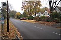 View along Canterbury Road