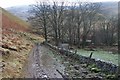 Track into upper Curr Burn