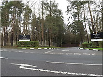 TL2012 : Entrance to Brocket Hall by Geographer