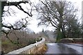 Langham Bridge over River Yealm