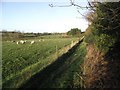 Footpath to Field Head