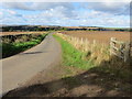 Road to Roxburgh New Town from Moor House