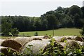 Round bales