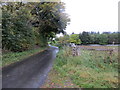 Country lane from Hawick to Orchard