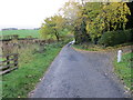 Country road passing through Midburn