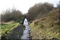 Drain and bridleway above Yard Coal Rise