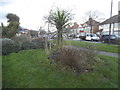 Landscaped grass triangle by Charlton Road