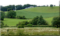 The Churnet Valley near Cheddleton, Staffordshire