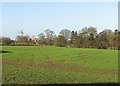 Towards West Wratting Church